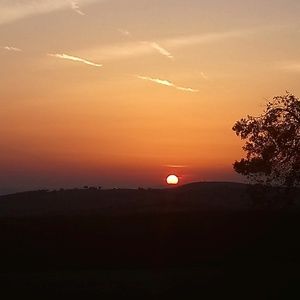 Talbot landscape sweater, repost